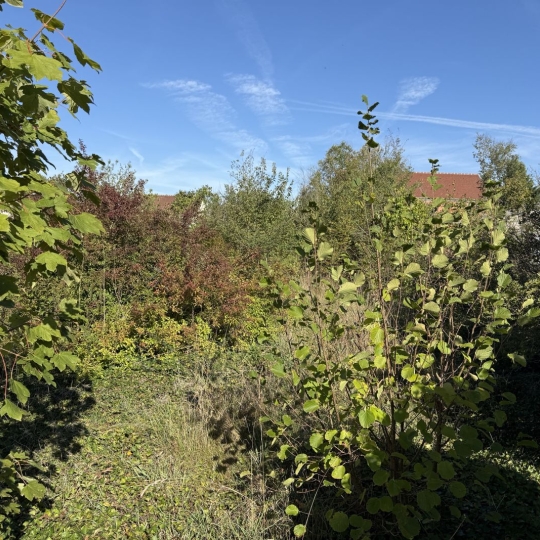 PASSION IMMO : Ground | EPIAIS-RHUS (95810) | m2 | 153 000 € 